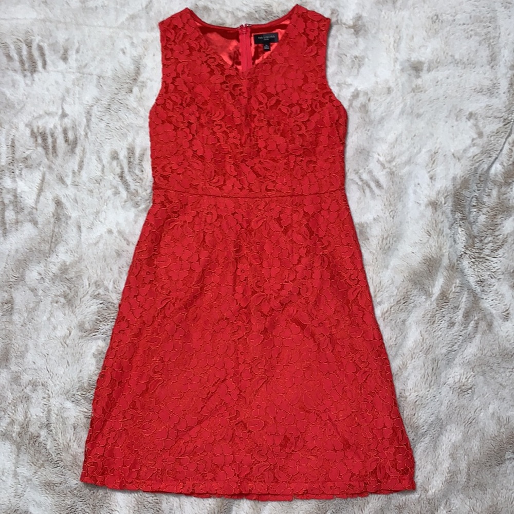 NWT The Limited sleeveless lace dress
